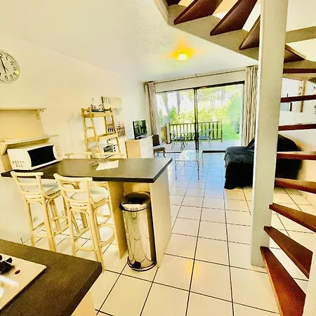 Duplex T3 2 étoiles Bord De 65mcarrés Appartement Biscarrosse