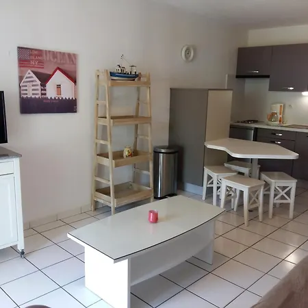 Duplex T3 2 Etoiles Bord De 65mcarres דירה ביסקארוס