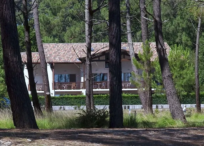 Duplex T3 2 Etoiles Bord De 65mcarres *