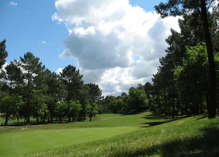 Daire Duplex T3 2 Etoiles Bord De 65mcarres Biscarrosse